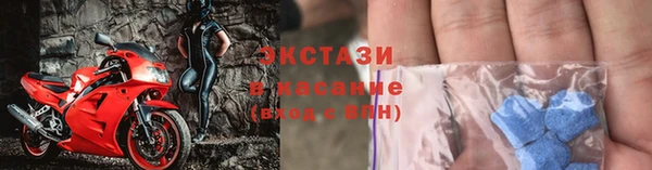 сатива Новозыбков