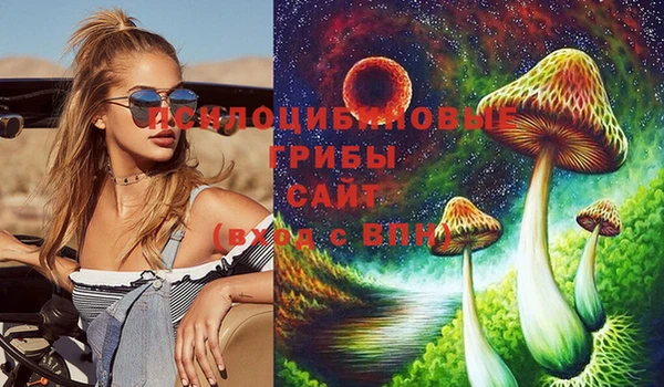 эйфоретик Алзамай