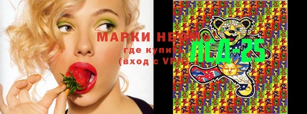 ГАЛЛЮЦИНОГЕННЫЕ ГРИБЫ Новодвинск