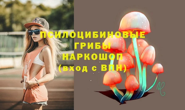эйфоретик Алзамай