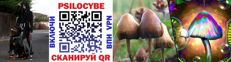 Галлюциногенные грибы Psilocybine cubensis  Арск 